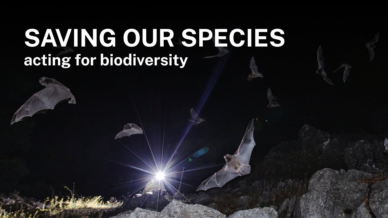 Saving our Species - Acting for biodiversity