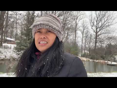 First Heavy Snow Day In The Homestead