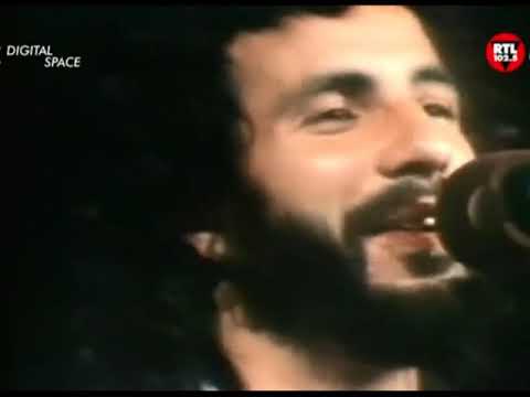 Wild world - Cat Stevens