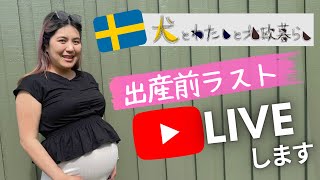 【これから出産💪】土曜夜9時〜🌻🤰出産直前のYouTube生配信🇸🇪🤍