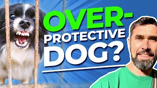 How to Tame an Aggressive, Overprotective Dog: Does Your Dog Over-Guard Your Property?