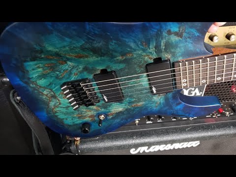 Why I Hate Legator Guitars!