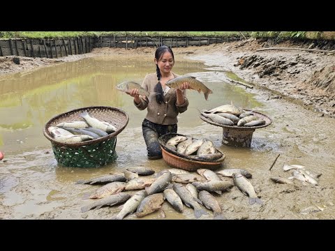 Harvesting Fish from a Giant Pond & Preserving Starfruit for the Whole Year