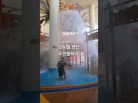 겨울 워터파크에서 신나는 물놀이 소노벨 변산 오션플레이 아이랑갈만한곳
