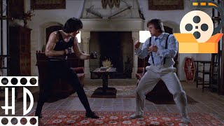 Best Martial Arts Movie Fight Scenes