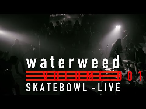 waterweed - 01.Only for us - 02.Monologue (Live Video)