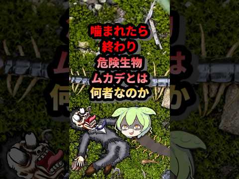 防御以上のポイントと象徴的な高さを備えた庭のフェンス