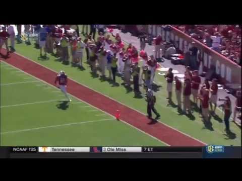 2014 USC vs Furman - Jerell Adams 45 Yd Touchdown Reception