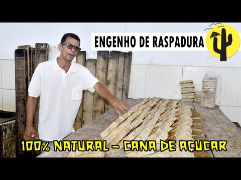 Fabricação de RASPADURA em Areia | Conheça o Engenho Quati 🌵