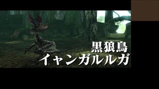 【MHXX】雑にオールラウンダーに…part15【ゆっくり実況プレイ】