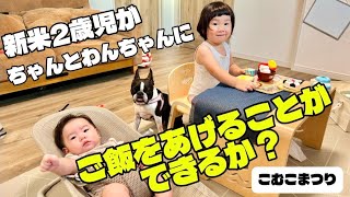 新米2歳児がちゃんとわんちゃんにご飯ををあげることができるか？ 【こむこまつり】