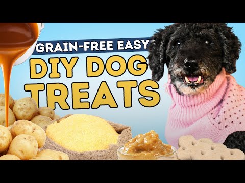Grain-Free DIY Dog Treats: Easy, Healthy Recipes at Home