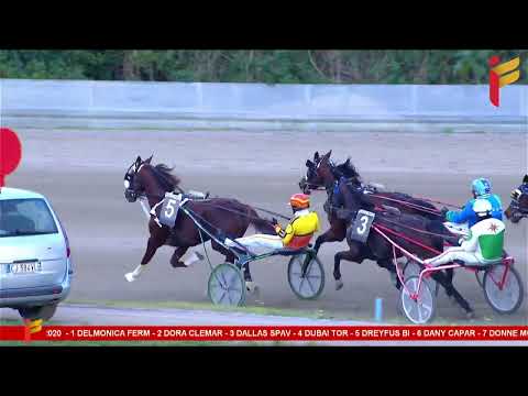 VI corsa del 28 gennaio 2023 - 4 Anni - Metri 2000/2020