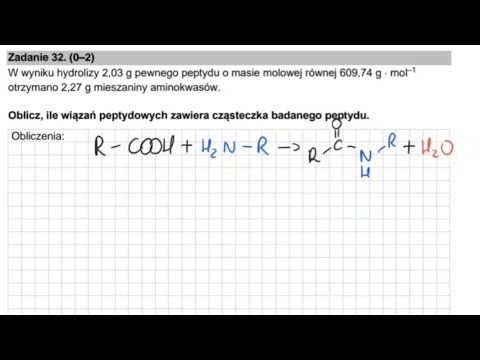 Arkusz Pokazowy CKE marzec 2022 - hydroliza peptydu