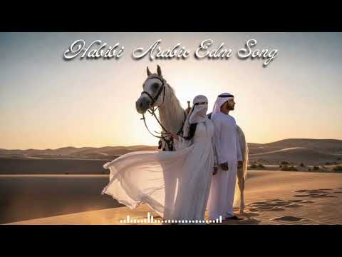 Arabic Music Remix 🎶 2025 | Yalla Yalla Habibi Belly Dance Energy 💥