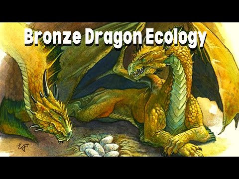 D&D Lore: Bronze Dragon Ecology