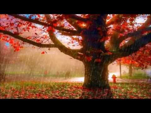 Edaa Wage Adath ~ එදා වගේ අදත් පොද වැස්ස වැටෙනවා/ Somathilaka Jayamaha