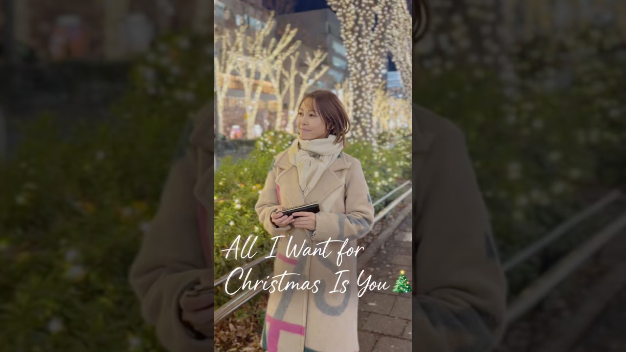 All I Want for Christmas Is You🎄　Chromatic Harmonica Cover