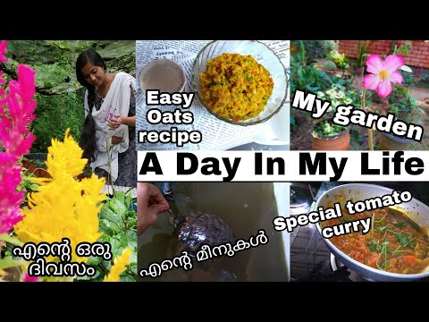 A day in my life| എൻ്റെ  ഒരു ദിവസം| Easy tomato curry| Masala oats| Plant care| My fishes care