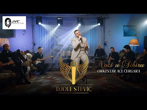 Djole Stevic & orkestar Ace Cergara - Noci u Sibiru (Cover 2023)