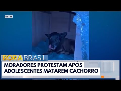"Ear" Dog: Dog's death causes outrage among residents | Bora Brasil