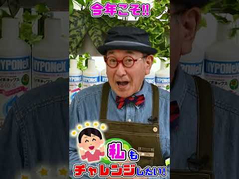 2024年に室内でトマトの苗を植え始めるのはいつですか?  庭園