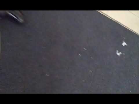 next Abby Hatcher screen bug