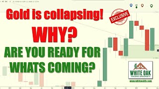 🚨 BREAKING: Gold is collapsing! WHY is GOLD dropping? Gold prices will go up or down? August 2021