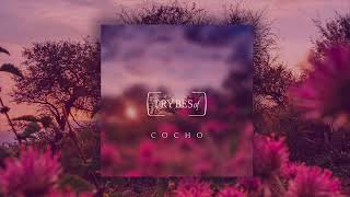 Cocho - The Girl Who Deserved More video