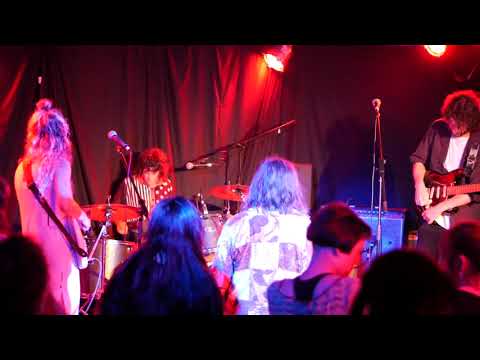 All the Weathers, 4, live, Brisbane Hotel, Hobart, 1.3.2019