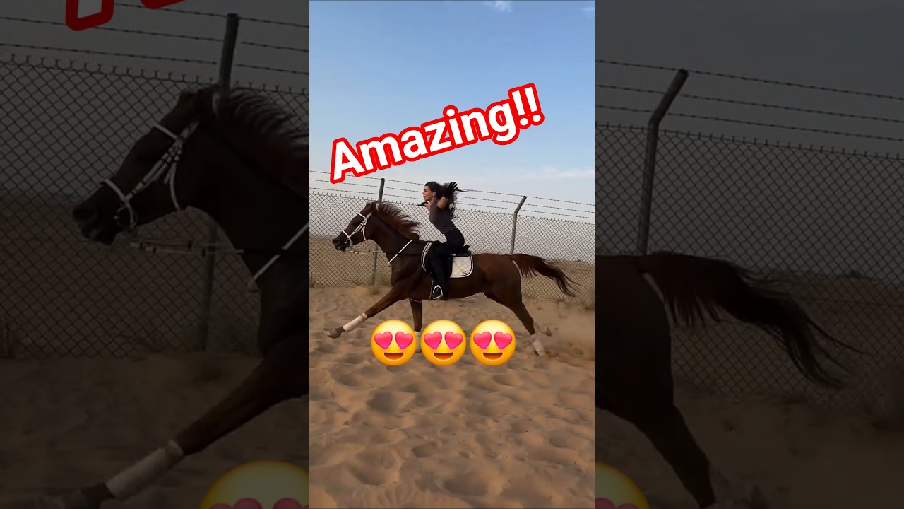 Amazing Horse Riding | Wild Horse Rider 🐎🔥#horseriding