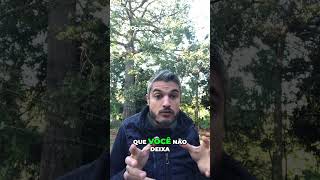 AS VEZES VOCÊ NÃO SE PERGUNTA PORQUÊ FEZ ALGUMAS COISAS