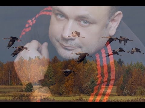 Артём Беркут  -  Улетают журавли...