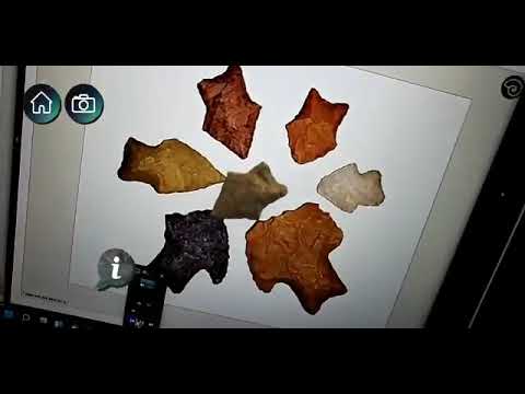 Deixis