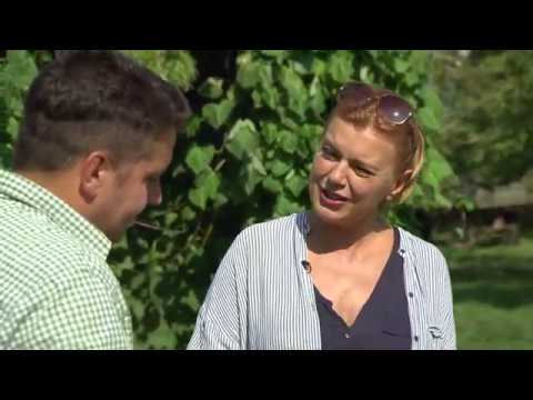 Gasztroangyal 6. rész – Délvidéki szüret (2015)