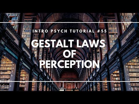 Introduction to Sensation and Perception Intro Psych Tutorial 40
