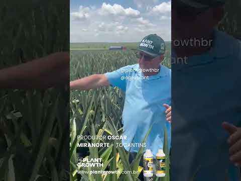 produtor Óscar de Miranorte Tocantins  com os produtos plant growth