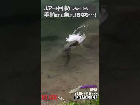 IUCN分類における絶滅の危険性を示す図。