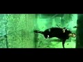 The Matrix lobby scene - Du Hast, Rammstein ...