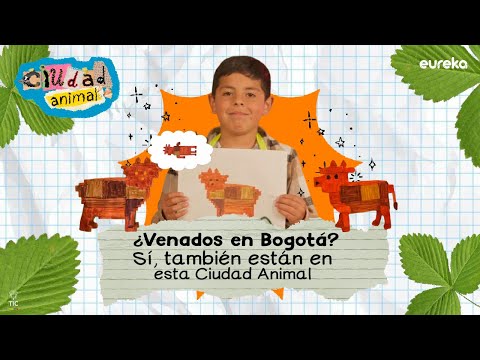 Descubre al venado Soche, guardián del bosque, así como Darwin🦌