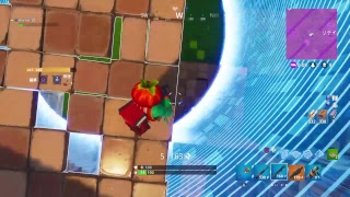 【Fortnite】とまとの覇者
