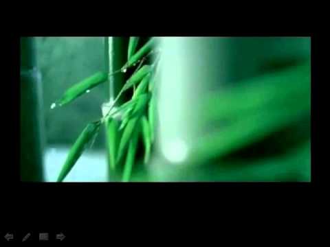 Thì thầm cơn mưa hạ Sheet - Song Giang