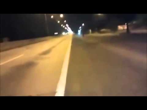 Dog Teleports Out of Nowhere during Street Race