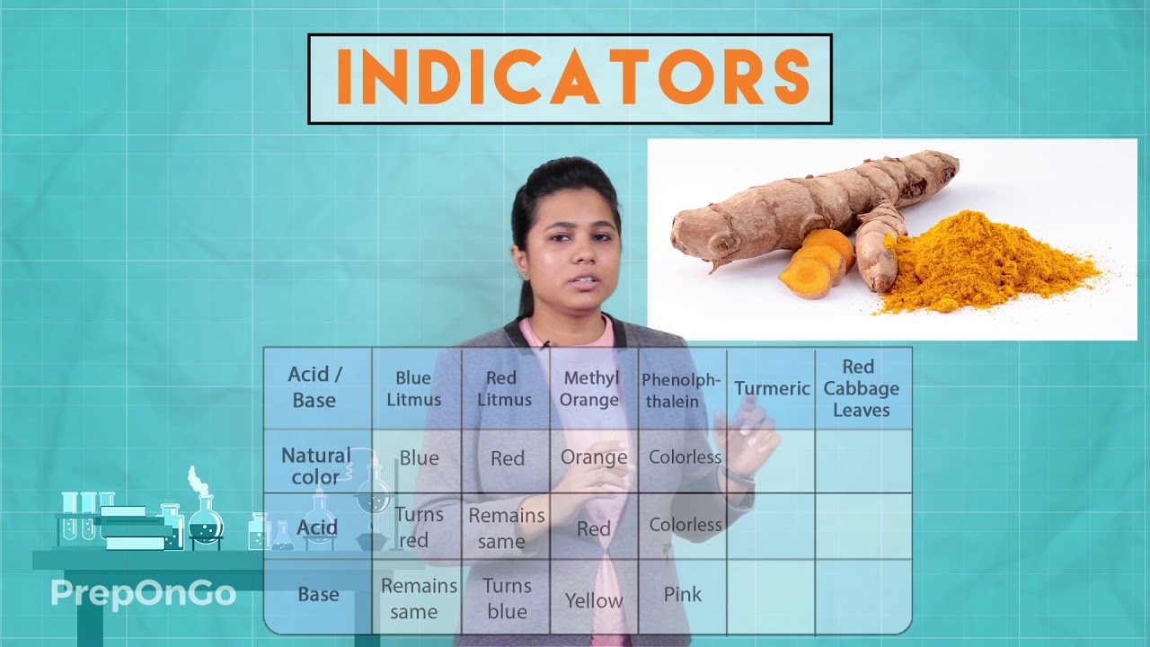 Acids Bases and Salts - 2 | Chemical properties of Acids and Bases | CBSE Class 10