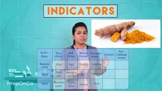 Acids Bases and Salts - 2 | Chemical properties of Acids and Bases | CBSE Class 10