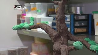 Northern Spark Lights Up Minneapolis