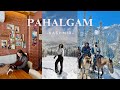 Pahalgam Kashmir | Baisaran Valley | Mini Switzerland | Pony rides & exploring cafe | 2024 | EP5