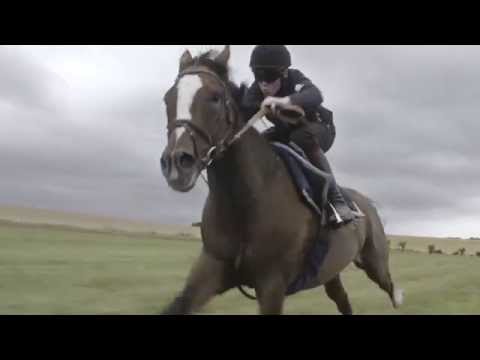 #Horsepower The Jockey Club