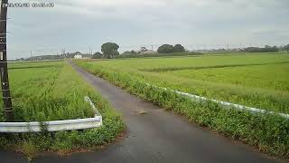 千葉県山武郡横芝光町北清水東里ライブカメラ live webcam
