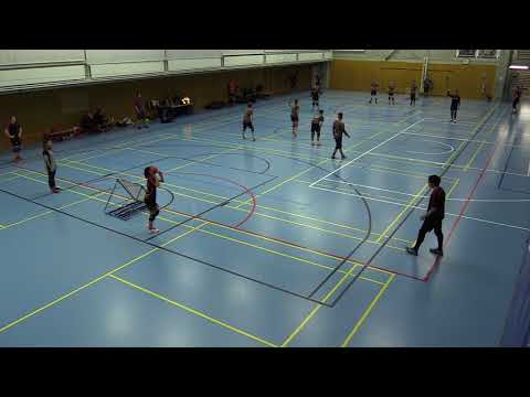 Geneva Dragons vs. Val-de-Ruz Flyers